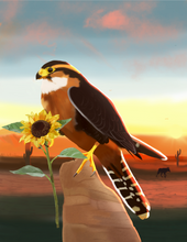 Load image into Gallery viewer, Arizona Falcon
