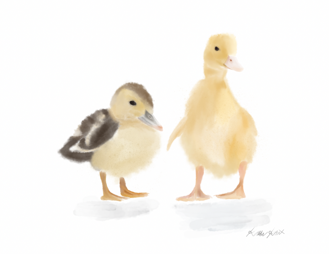 Ducklings Watercolor Print