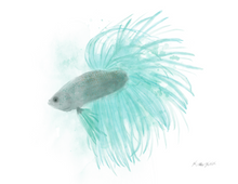 Load image into Gallery viewer, Betta Fish Watercolor Print
